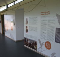 Whitestone Apartments - Hotel QLD