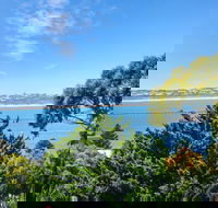 Bluff Retreat - 17 Davies Street