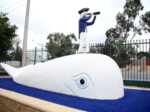 Explorers - Hotel QLD 1