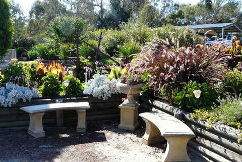 Glenrowan Kelly Country Motel - Hotel QLD 6