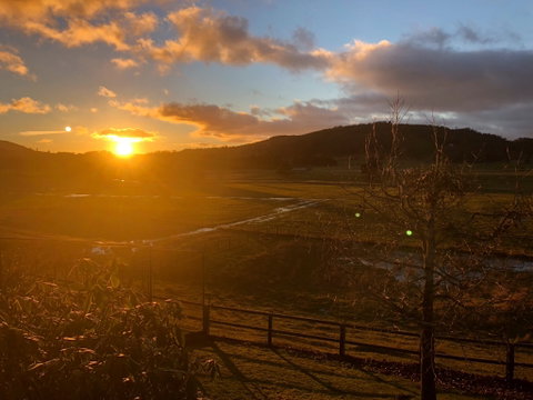Mole Creek Hideaway - Hotel QLD 1