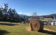 Mole Creek Hideaway - thumb 4