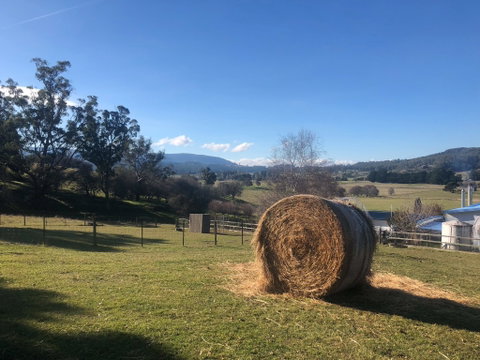 Mole Creek Hideaway - Hotel QLD 4