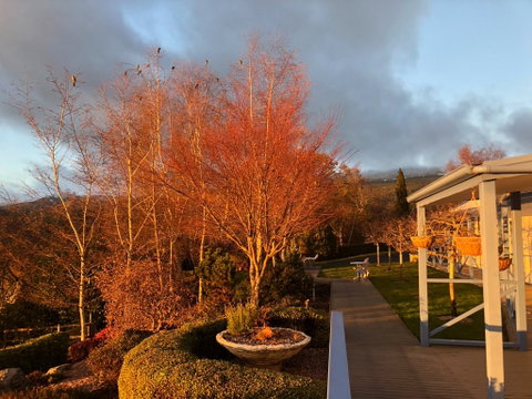 Mole Creek Hideaway - Hotel QLD 6