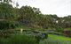 Pear Tree Hollow - thumb 5