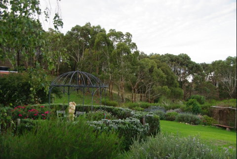 Pear Tree Hollow - Hotel QLD 5