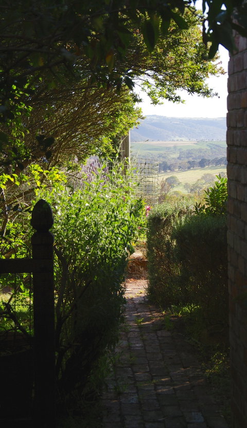 Pear Tree Hollow - Hotel QLD 7