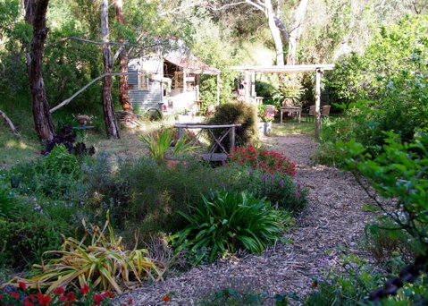 Pear Tree Hollow - Hotel QLD 8