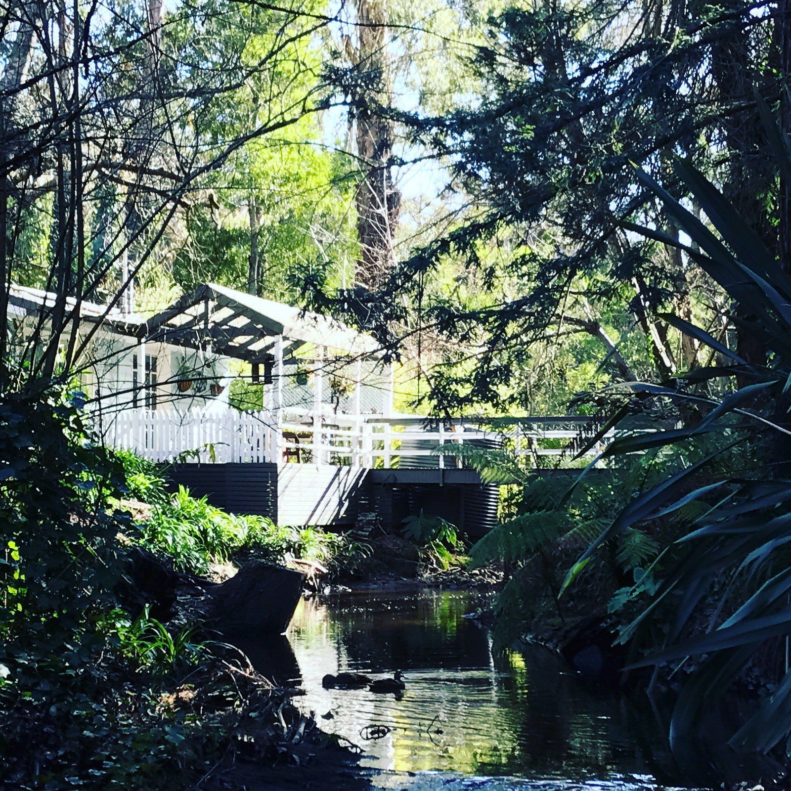 Hotel QLD