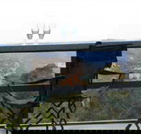 Hatters Hideout Lyres Loft - Hotel QLD