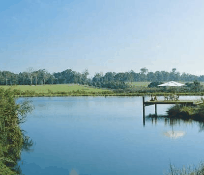 Forest Rise Eco Retreat - Hotel QLD