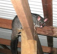 Warren River Resort - Hotel QLD