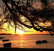 Pelican's Nest - Hotel QLD