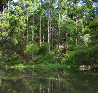 Peppermint Grove Retreat - Hotel QLD