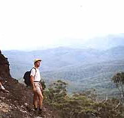Mimosa Hill Wildflower Farm Cottages - Hotel QLD