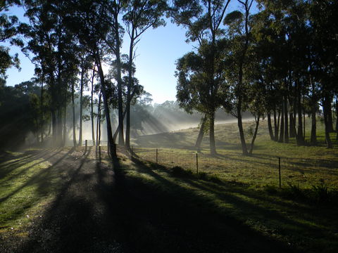 Cygnet Park Country Retreat - Hotel QLD 2