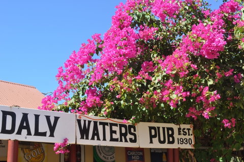 Daly Waters Historic Pub - Hotel QLD 0