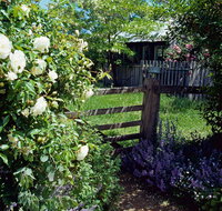 Hamilton's Cottage Collection and Country Gardens - Edwards - Hotel QLD