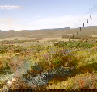 Nyroca Campsite  Group Accommodation - Hotel QLD