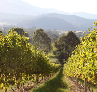 Rosetta's Garden Guesthouse - Hotel QLD