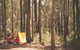 Stringers Camp At Lane Poole Reserve - thumb 1