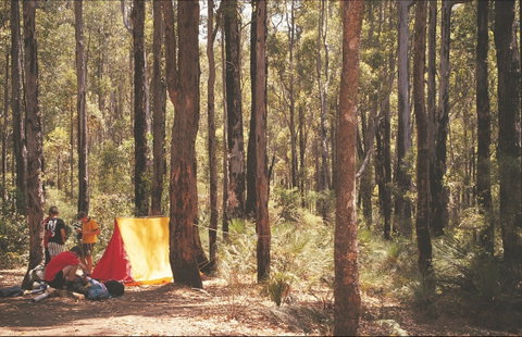 Stringers Camp At Lane Poole Reserve - Hotel QLD 1