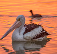 4 Pelican Court - River Shack Rentals - Hotel QLD