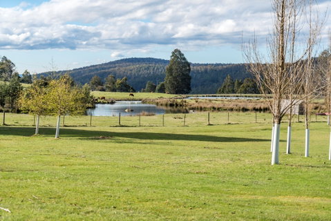 Highland Caravan Park - Hotel QLD 1