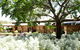 Marananga Cottages - thumb 0