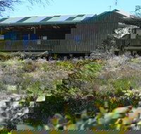 Melaleuca - Eco and Pet Friendly  Harbor Point Cabins - Hotel QLD