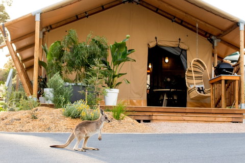 BIG4 Anglesea Holiday Park - Hotel QLD 2