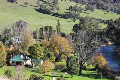 Elm Cottage Tumut - Hotel QLD 1