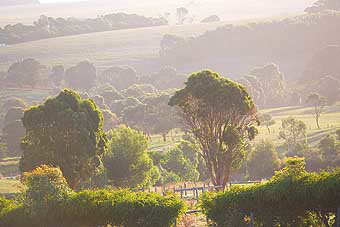 Mackas Farm - Hotel QLD 0