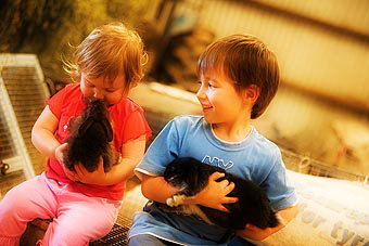 Mackas Farm - Hotel QLD 1