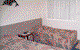 Nanango Star Motel - thumb 0