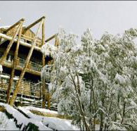 Silverski - Hotel QLD