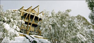 Silverski - Hotel QLD 0
