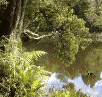 Weldborough Hotel - Hotel QLD