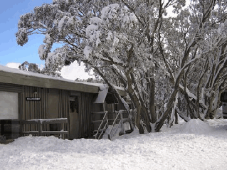  Hotel QLD