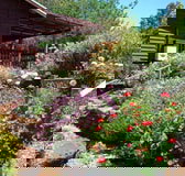 Chestnut Brook Cottage - Hotel QLD