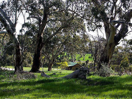 Wuthering Heights - Hotel QLD 1