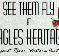 Eagles Heritage Raptor Wildlife Centre - Hotel QLD