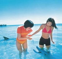 Kookaburra Air - Hotel QLD