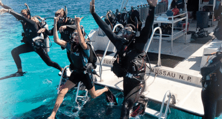 Snorkel Safari Brisbane - Hotel QLD