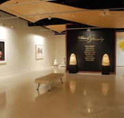 Counihan Gallery In Brunswick - Hotel QLD