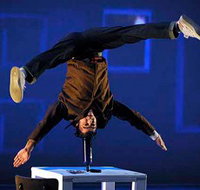 National Institute of Circus Arts NICA