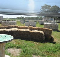 We Are Paintball - Hotel QLD