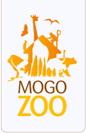 Mogo NSW Hotel QLD