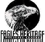 Eagles Heritage - Hotel QLD
