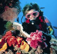 Gold Coast Seaway Dive Site